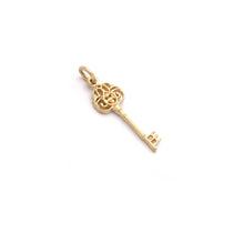 Load image into Gallery viewer, Kinz Key gold pendant (14-karat) guld halskæde
 
halskæde 
smykke 
smykker 
sterling silver
 
Silver
 scandic design 
pendant 
nordic design
 necklace 
light 
jewellery 
guld
 
scandinavian design 
golden 
Gold Plated 
Gold (14-karat)
gold
 
danish design 
cosmos
 guld