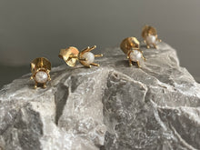 Indlæs billede til gallerivisning One pearl