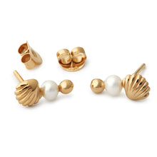Indlæs billede til gallerivisning gold guld pearls perler pearl perle stud earring ear  ørering swarovski shell
